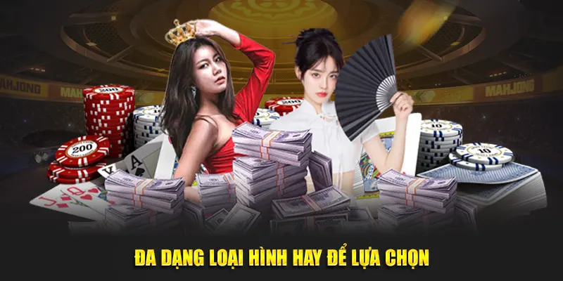 Đa dạng loại hình hay để lựa chọn