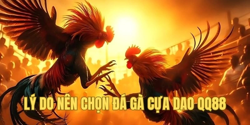 Lý do khiến bạn nên chơi cựa dao tại QQ88