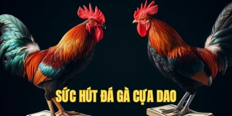 Độ hot không thể bàn cãi của đá gà cựa dao QQ88