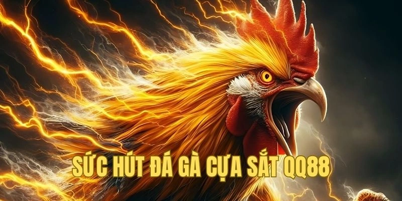 Sức hút của đá gà cựa sắt QQ88 so với sản phẩm khác