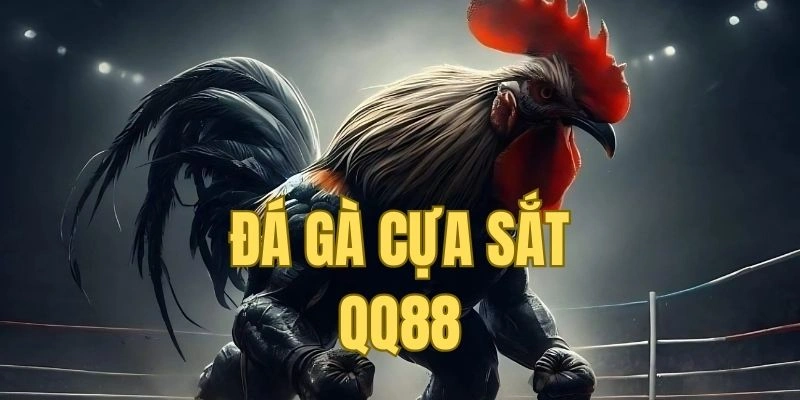 Đá gà cựa sắt QQ88