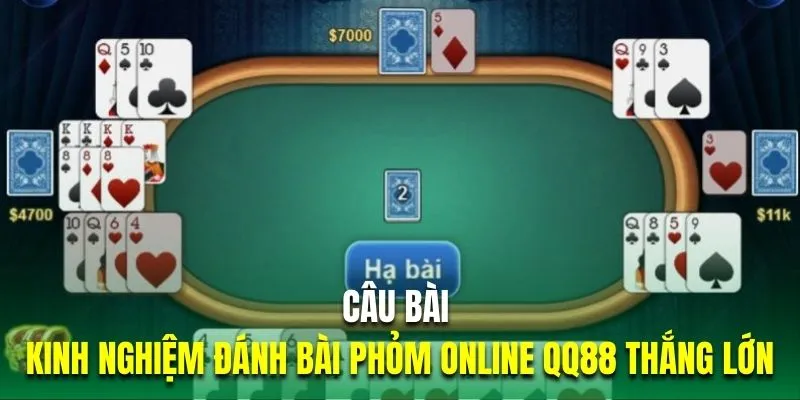 Câu bài là kinh nghiệm đánh bài Phỏm online QQ88 thắng lớn